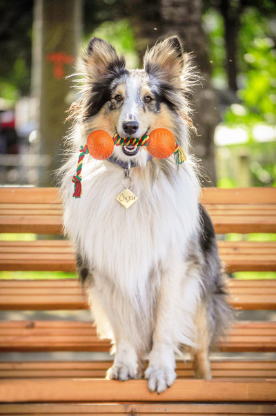 Doglike Гантель большая (Белый канат)