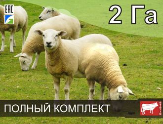 Электропастух СТАТИК-3М для овец и ягнят на 2 Га - Удержит даже самого наглого барана!