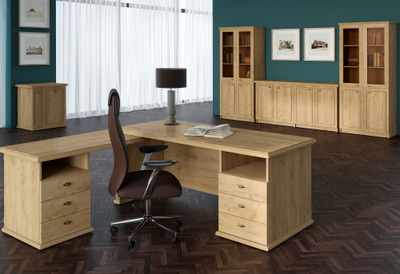 Кабинет руководителя RAUT