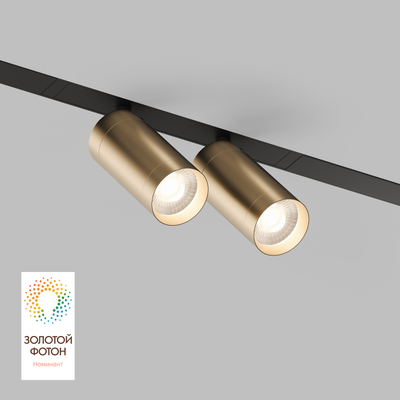 Трековый светильник Denkirs DK8012-BG