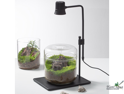 Чаша Лудзи Biolark MY-150 (150мм х 150мм)