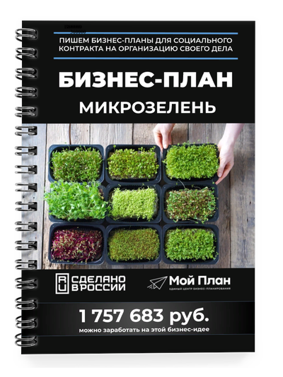 Бизнес-план для социального контракта в 2022 г. Ниша: Выращивание микрозелени. Форма: Самозанятость