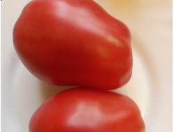 Томат Ослиные уши малиновые