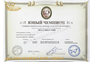 Ziva Heaven's Gate /Лора/ - Юный Чемпион Национального Клуба Породы