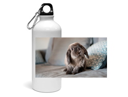 Спортивная бутылка год Кролика №15