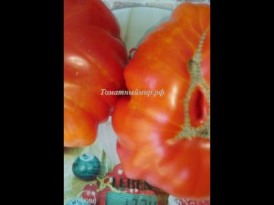 Томат Гигант Фарина (Gigante Farina, Италия)