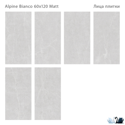 Керамогранит Staro Silk Alpine Bianco 60х120 см матовый