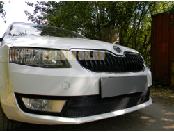 Защита радиатора Skoda Octavia А7 2013-2017 (Ambition,Elegance,Style) black PREMIUM