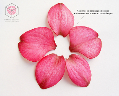 "Лепестки орхидеи фаленопсис  М" набор вайнеров и каттеров