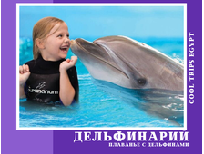 ДЕЛЬФИНАРИЙ - ПЛАВАНИЕ С ДЕЛЬФИНАМИ (15 МИНУТ) В ШАРМ ЭЛЬ ШЕЙХЕ