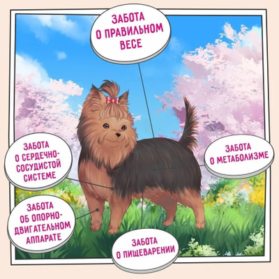 ZILLII Adult Dog Small Breed Light,сухой корм для собак мелких пород с избыточным весом, 3 кг Индейка с Ягненком