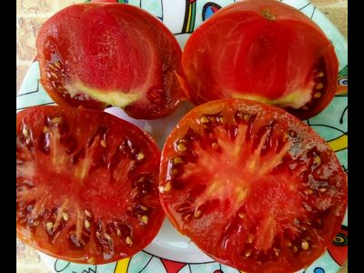 Томат Брендивейн черный  (Brandywine Black)