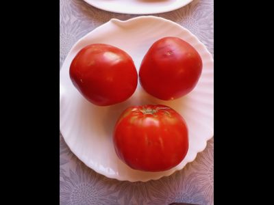 Томат Божий дар