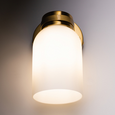 Freya, Настенный светильник (бра) Kamelia, FR5446WL-01BS