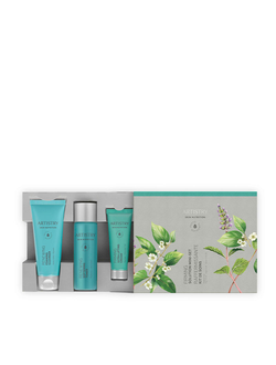 ARTISTRY SKIN NUTRITION Набор мини-средств Лифтинг «Укрепляющий эффект»