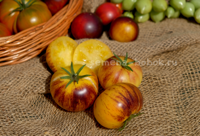 Томат Rebel Starfighter Kayleigh Anne (Восставший Звездный Истребитель Кейли Энн круглый), 10 шт