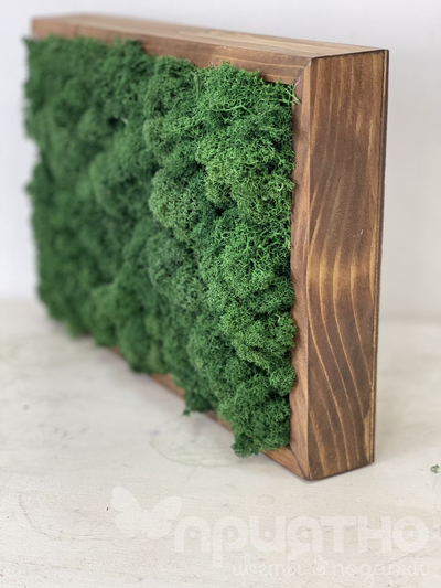 ЖИВАЯ ЭКО-КАРТИНА 1052