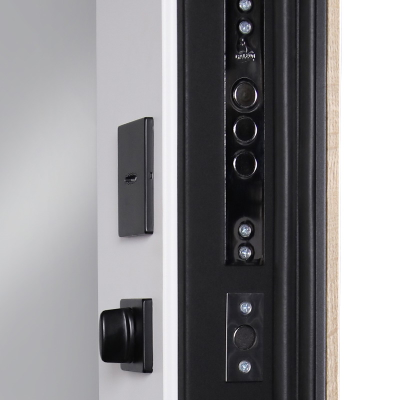 Стальная дверь   Конструктор с зеркалом (биометрический замок Smart lock Y23)