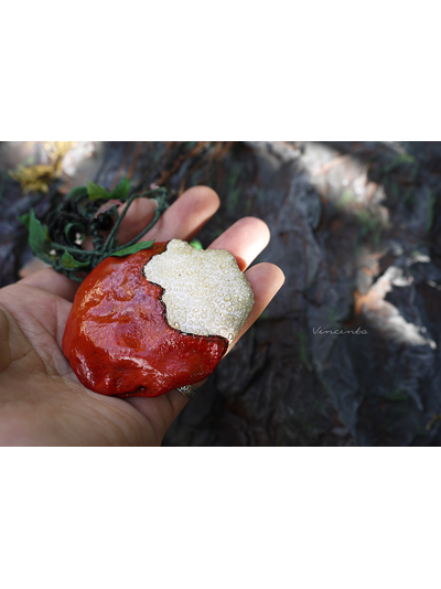 Яблочко Белоснежки. Комплект украшений в стиле фэнтези (необычные серьги и кулон-колье с яблоком)