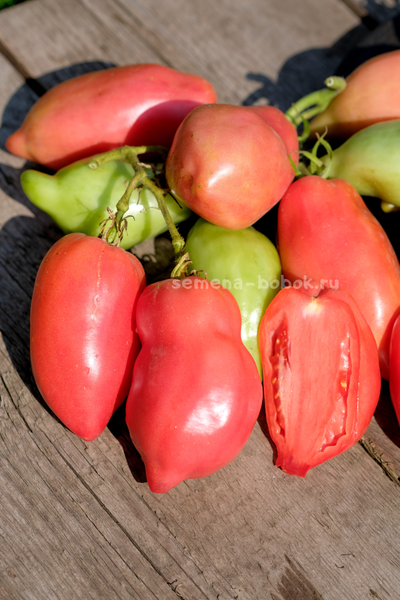 Томат Брикодейки Минусинские, 10 шт