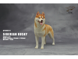 Сибирская хаски (рыжая) - Коллекционная ФИГУРКА 1/6 scale Husky (QYC003B) - QuanYingCun