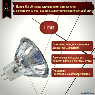 BLV EuroStar 51 Neodym Flood 50w 36° 12v GU5.3