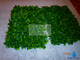 Искусственная трава на модулях (для декора стен) 40 х 60 см (50 х 50 см)