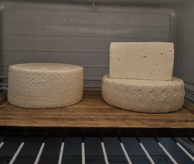 Робиола итальянский мягкий сыр из козьего молока | ферма СытникЪ