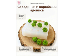 Молд "Серединки и коробочки адониса"