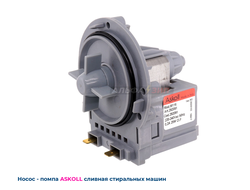 Насос сливной (помпа) Askoll M116 25Вт 292226 для стиральной машины Candy, Indesit, Haier