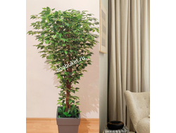 Искусственное дерево Фикус Бенджамина Люкс Гранд Д001 для интерьера из высококачественного материала