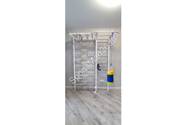 ДСК-6.01.С "РОКИ С РУКОХОДОМ" (ДЕР. СЕТКА), цвет металла белый, ступени серые