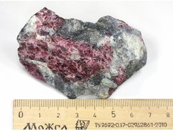 Эвдиалит в породе, Россия, Кольский п-ов, Хибины (70*35*30 мм, 103 г) №25686