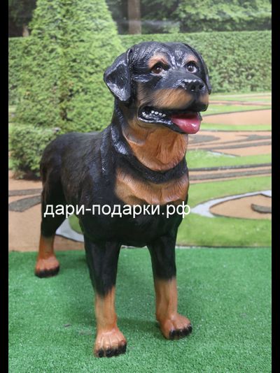 РОТВЕЛЛЕР 75*90см  7,5кг  полистоун Россия 6358/012317*