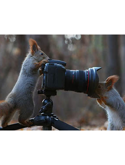 квест для взрослых Ледниковый Период