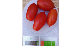 Король Гумберт