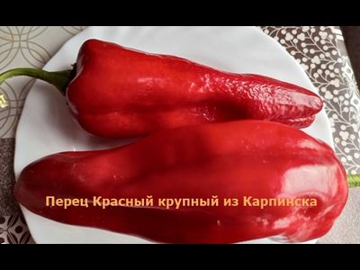 Перец сладкий Красный крупный из Карпинска (назв. условное)
