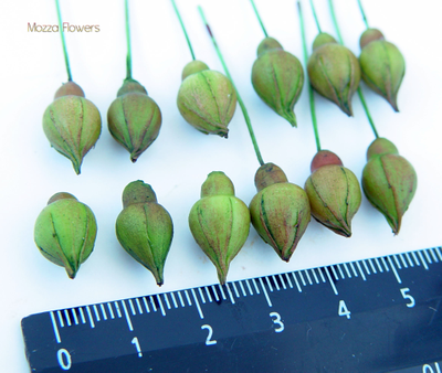 "Бутоны кустовой розы" силиконовый молд