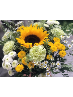 Осеннее солнце