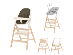 Стульчик для кормления 4в1 Carrello Ergo CRL-16701 Pine Green