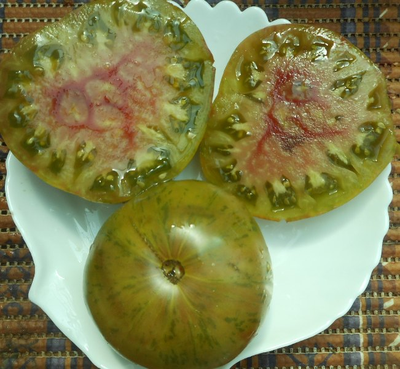 Томат Харвард сквер (Harvard Square)