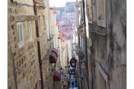 Тур Дубровник и его окрестности