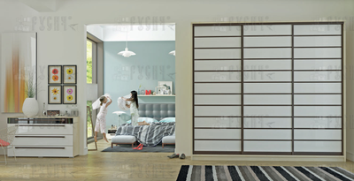 Шкаф-купе Ариадна 019