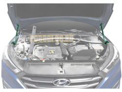 Амортизаторы капота, 2 шт. Pneumatic для Hyundai Tucson 2018-2021