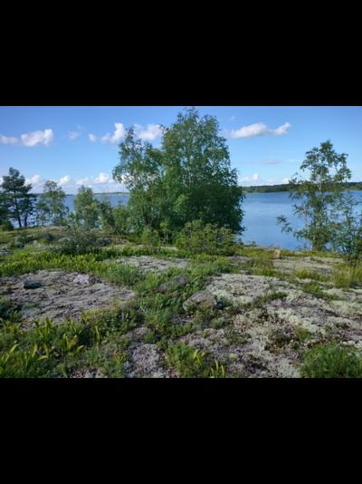 Прогулка на катере «Первозданные леса Заонежья»