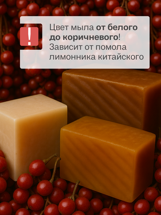 Живой шампунь китайский лимонник 90 гр.
