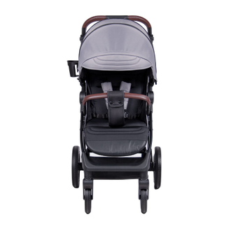 Коляска прогулочная Coletto Dizzi Black