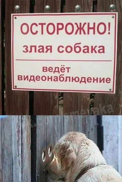 Видеонаблюдение на даче, в загородном доме.