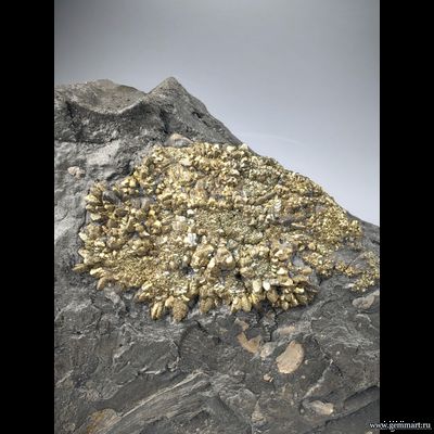 Пирит, плашка на породе, мергелистой глине. Россия.160*120*30мм