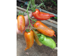 Томат Банан пестрый